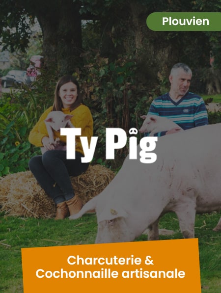 Ty Pig